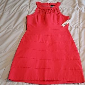 Two brand new dresses